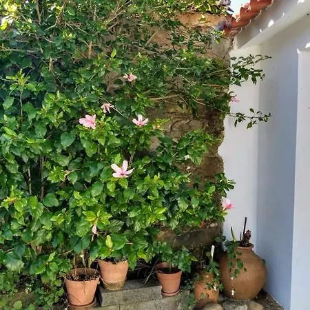 Sunset Vista B Lejlighed Macao