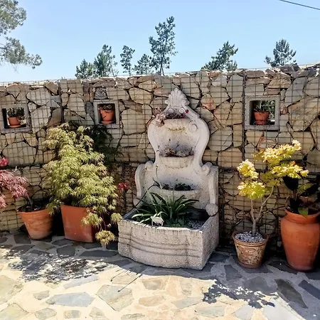 Sunset Vista B Lejlighed