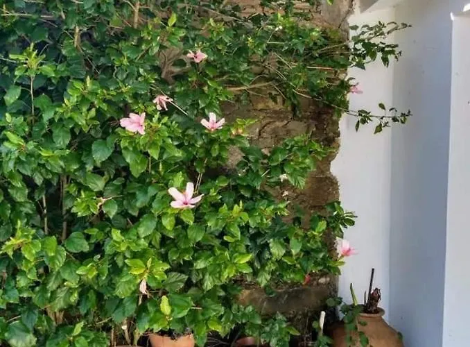 Sunset Vista B Διαμέρισμα Macao