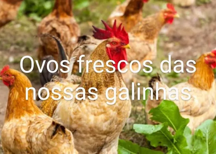 Διαμέρισμα Sunset Vista B Macao